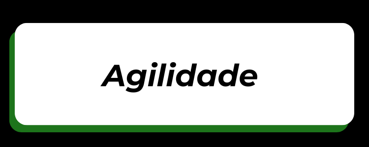 Agilidade